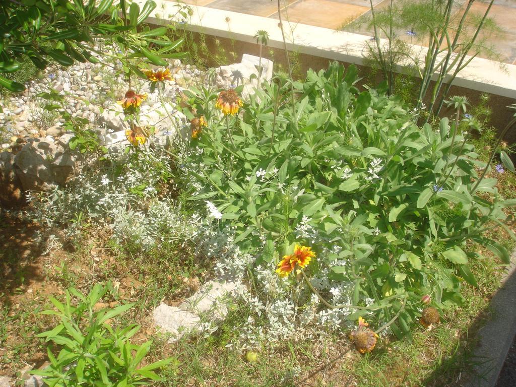 Apartments Gardijan Vodice Luaran gambar